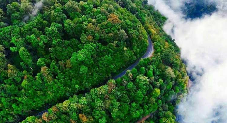 عکس طبیعت شمال گیلان