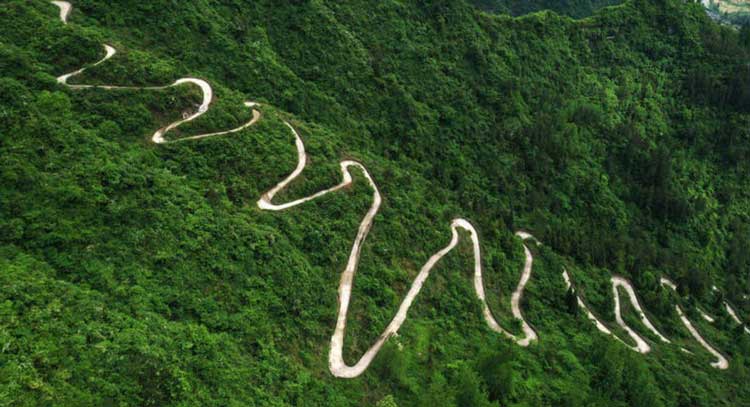 عکس خفن عکس جنگل پاییزی شمال