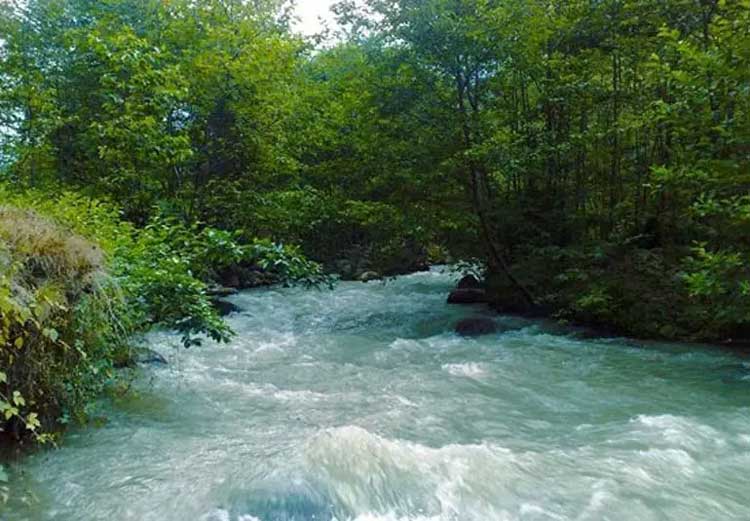 عکس طبیعت شمال گیلان