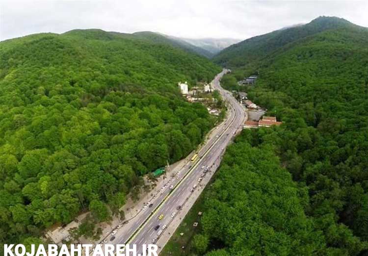 عکس خفن عکس جنگل پاییزی شمال