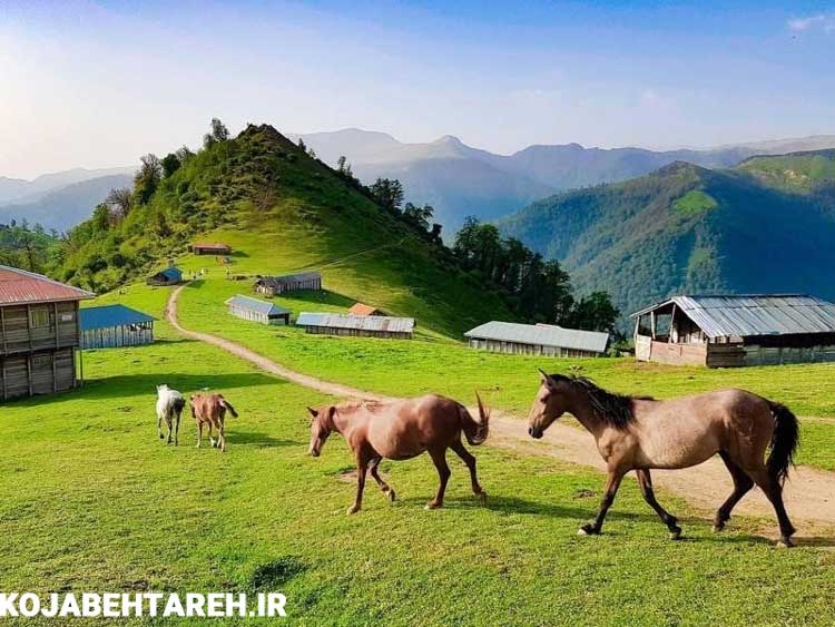 عکس طبیعت شمال گیلان